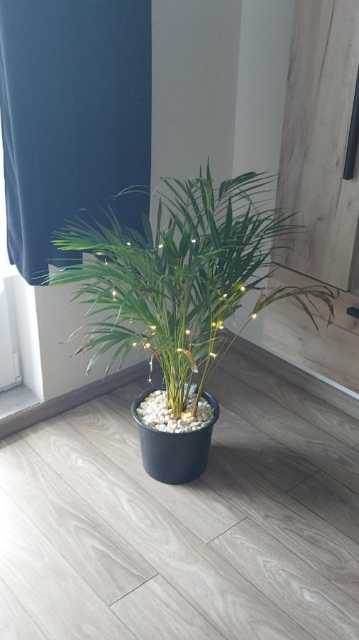 Apartament Antonias Făgăraş Buitenkant foto