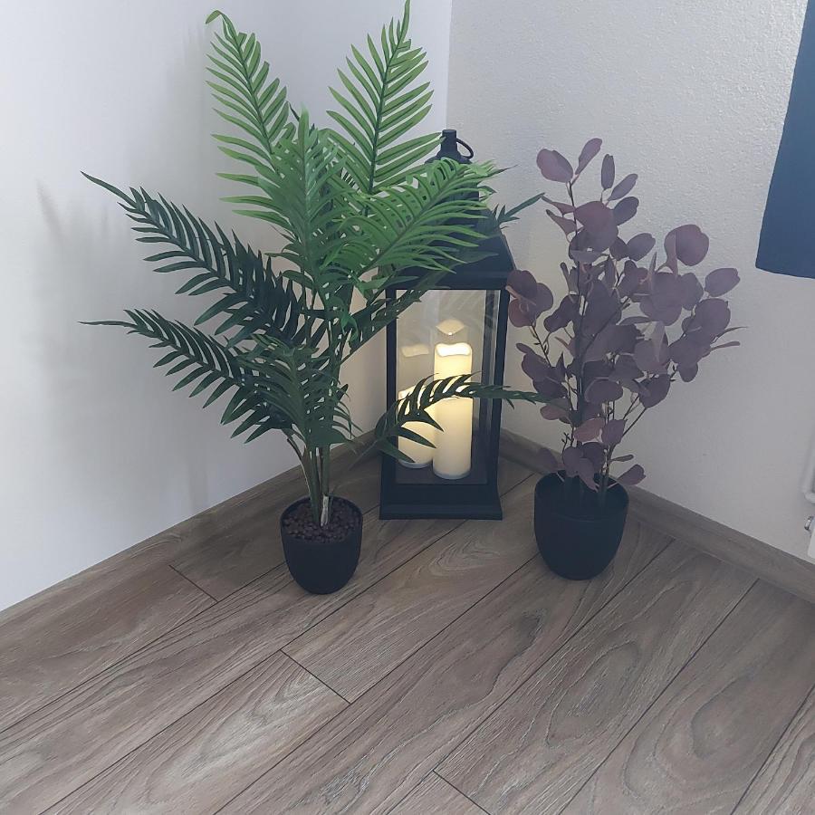 Apartament Antonias Făgăraş Buitenkant foto